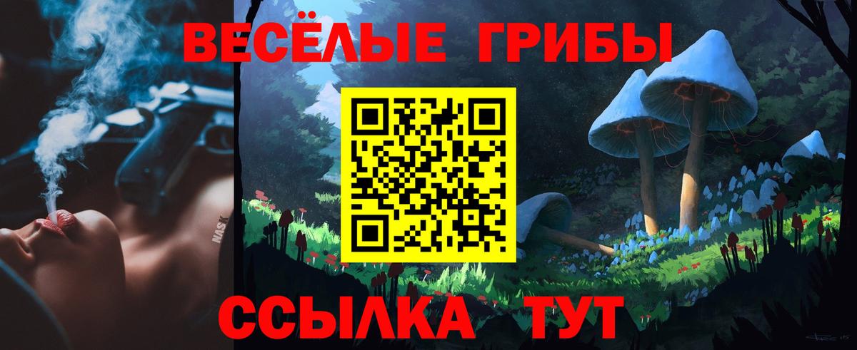 Тверь  Галлюциногенные грибы мухоморы  Вход с VPN  Галлюциногенные грибы Magic Shrooms 