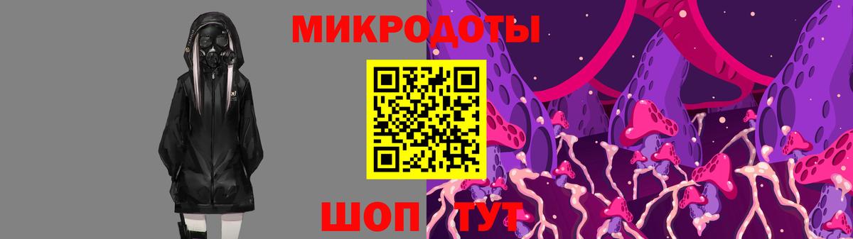 Галлюциногенные грибы Psilocybine cubensis Тверь
